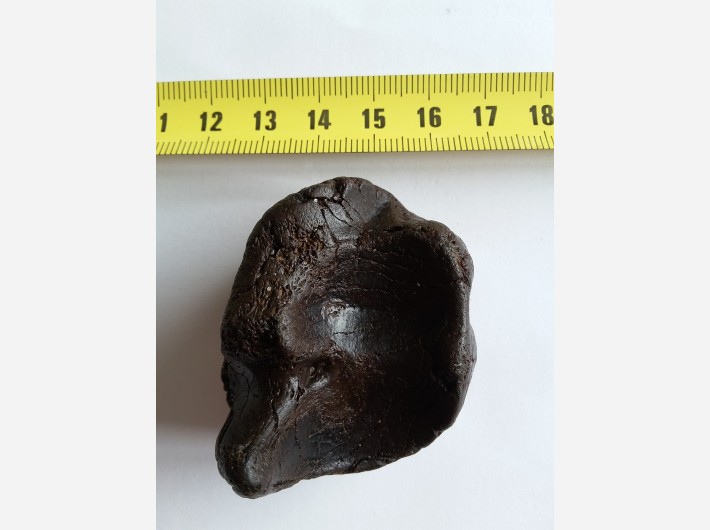Botfragment