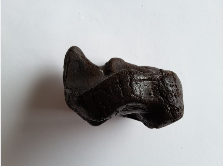 Botfragment