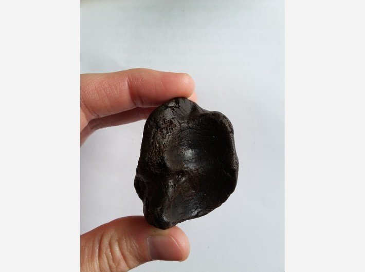 Botfragment