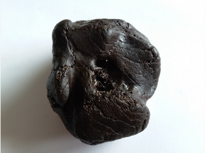 Botfragment