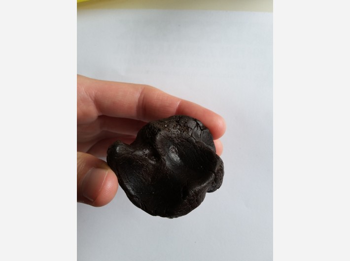 Botfragment