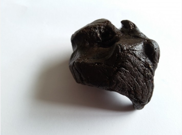 Botfragment