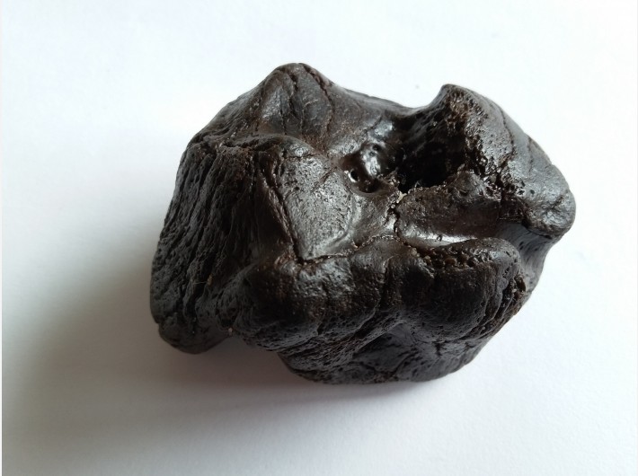 Botfragment