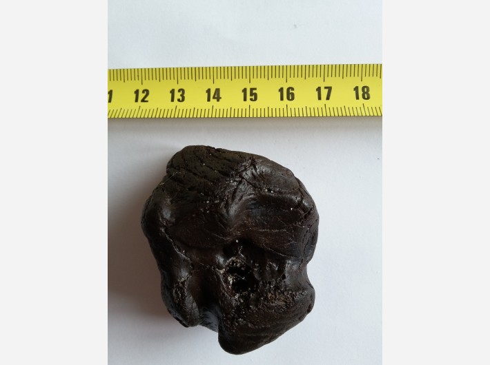 Botfragment