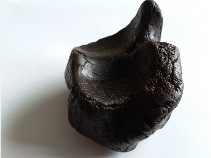 Botfragment