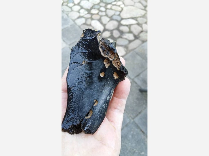 Bot fragment