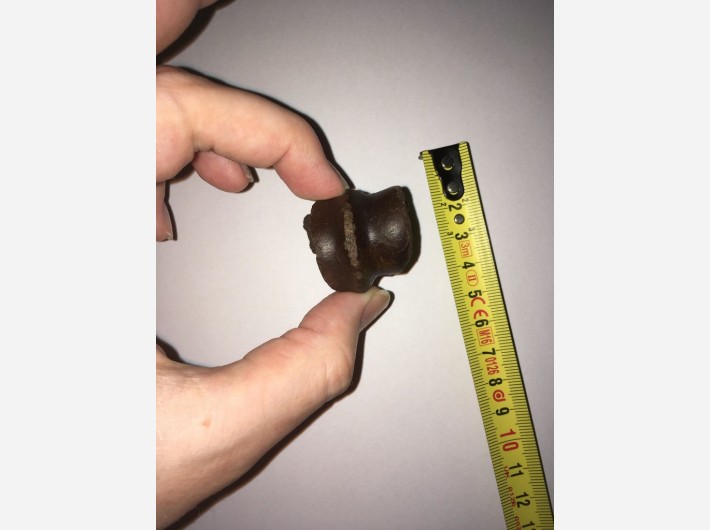 Fossiel van een evenhoevige met mogelijke bewerking in het bot