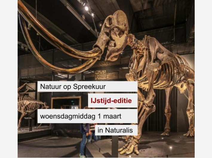 IJstijdmiddag in Naturalis